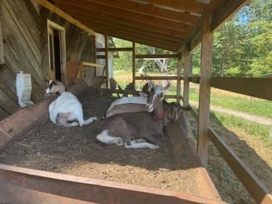 Rebranding In The High Country - 2020